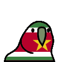 parrot suriname