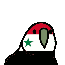 parrot syria