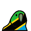 parrot tanzania