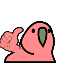 parrot thumbs up