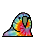 parrot tie dye