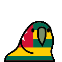 parrot togo