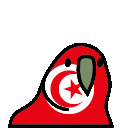 parrot tunisia