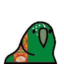 parrot turkmenistan