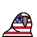 parrot unitedstatesofamerica