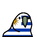 parrot uruguary