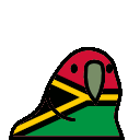 parrot vanuatu
