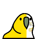 parrot vaticancity