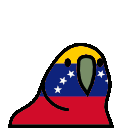 parrot venezuela