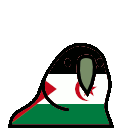 parrot westernsahara