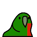 parrot zambia