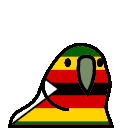parrot zimbabwe