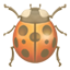 party beetle