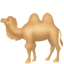 party camel