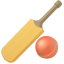 party cricket bat and ball