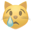party crying cat face