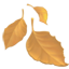 party fallen leaf