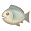 party fish