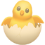 party hatching chick