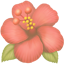 party hibiscus