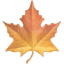 party maple leaf