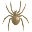 party spider