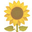 party sunflower