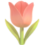 party tulip