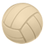 party volleyball