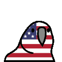 patriot parrot