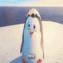 penguin_hello