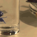 penguin_jump_glass