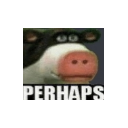 penguin_skeptical_look