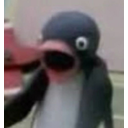 penguin_surprised_open_mouth