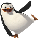 penguin11q