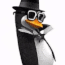 penguin2