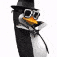 penguin3