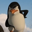 penguinwatq
