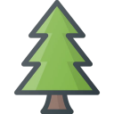 pine