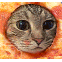 pizzacat
