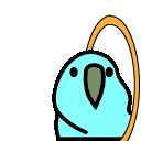 portal parrot right
