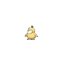psyduck