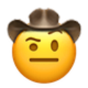 raised_eyebrow_cowboy