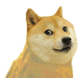 rare_doge