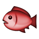 red fish