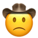 slightly_frowning_cowboy