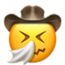 sneezing_cowboy