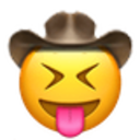 stuck_out_tongue_closed_eyes_cowboy