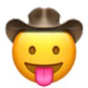 stuck_out_tongue_cowboy