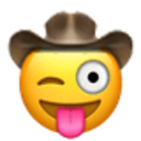 stuck_out_tongue_winking_cowboy